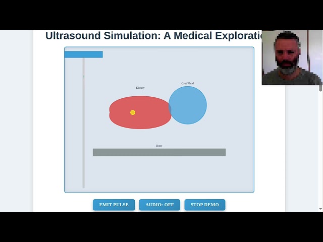 AI-Powered Ultrasound Simulation: Web Dev & JavaScript