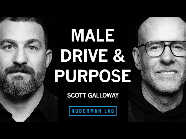 Male Roles, Obligations and Options for Building a Fulfilling Life | Scott Galloway