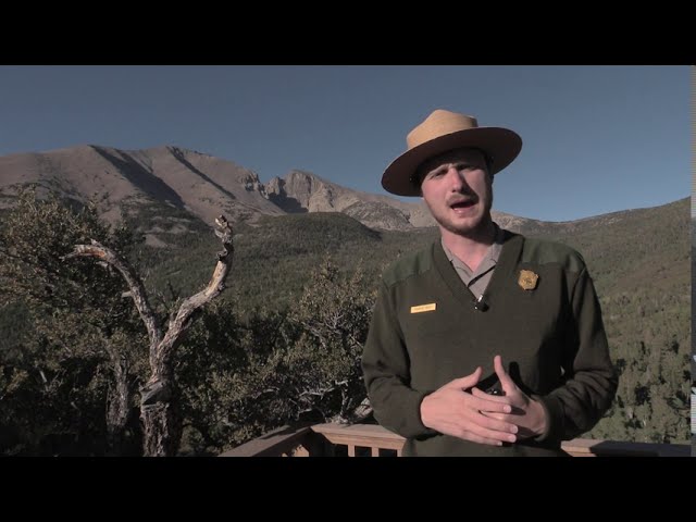 Stargaze on Your Own Virtual Ranger Program