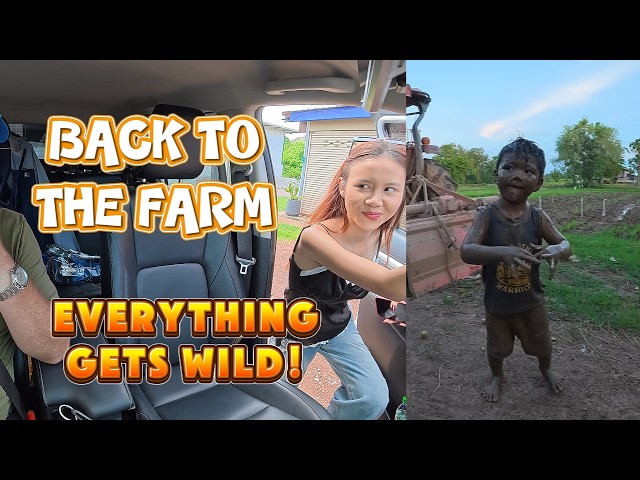 A crazy day at the farm.