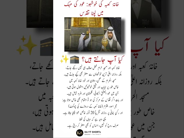 4 Life-Changing Quotes That Guide You Toward Real Success!