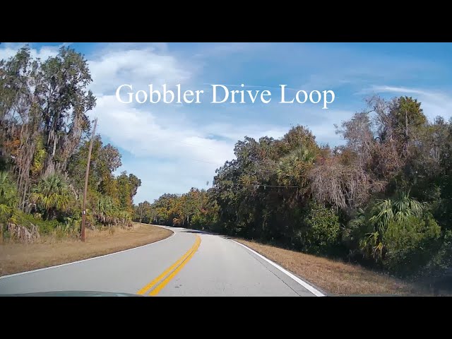 Gobbler Loop Scenic Drive — Floral City, Florida (4K)