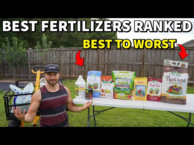 The BEST Fertilizers For Vegetables Ranked BEST To WORST!
