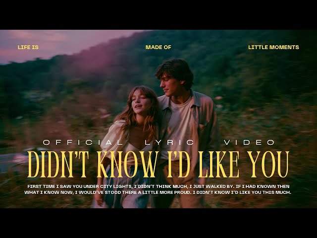 limo. - Didn’t Know I’d Like You (Official Lyric Video)