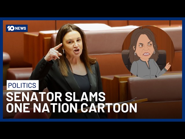 Senator Jacqui Lambie Slams One Nation & Pauline Hanson After Controversial Cartoon | 10 News