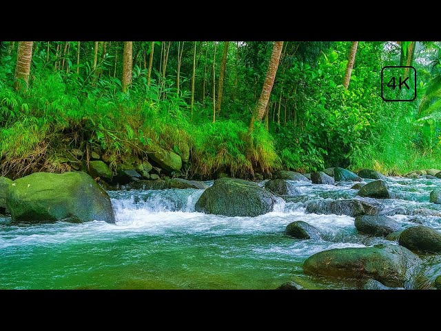 🌿 Fall asleep instantly tonight with this calming water white noise, peaceful sleep experience