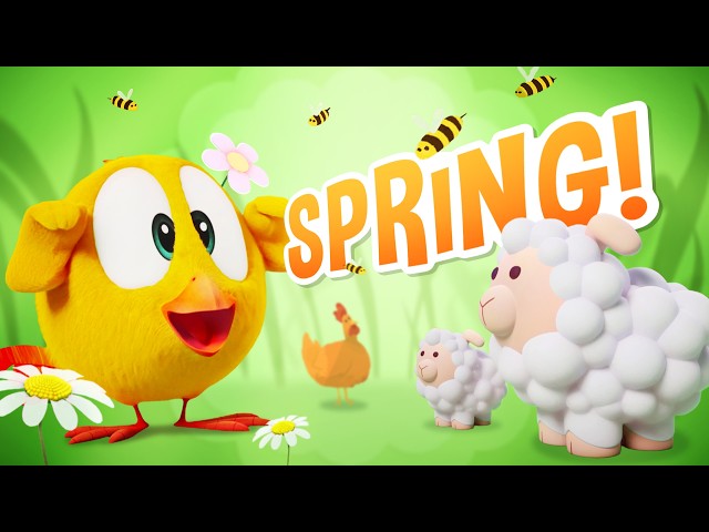 (NEW) SPRING IS COMING! 🎶 Where's Chicky?  Nursery Rhyme & Song for Children