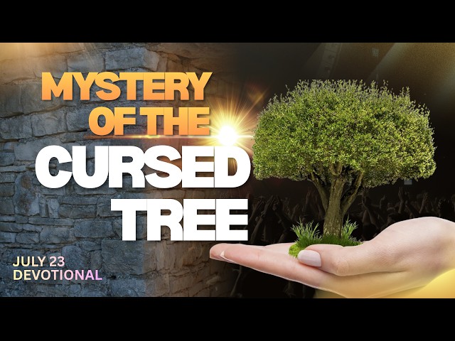 When Gentle Jesus Gets Angry, The Mystery of the Cursed Tree, July 23