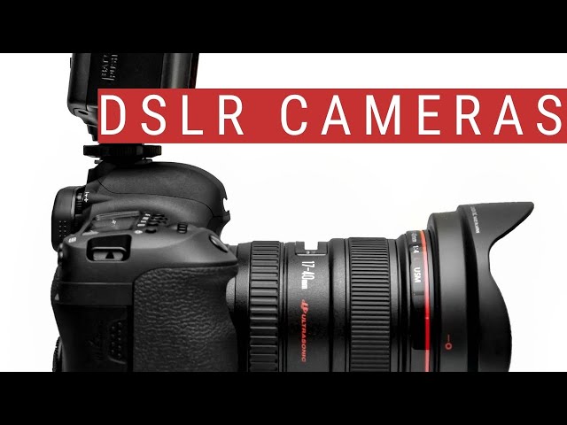 What is a DSLR Camera?