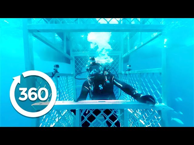 Isola di Jaws (video a 360 gradi)