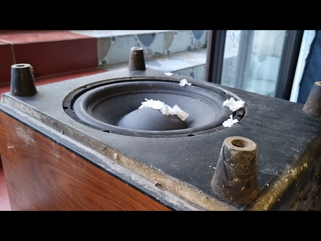 Deep Bass Only LFE Test on a Luxury 30cm Subwoofer