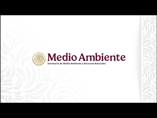 🔴  Conferencia de prensa sobre la presencia de hidrocarburos detectada en costas del Golfo de México