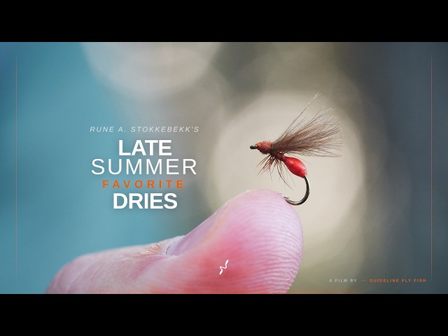 5 Favorite Dry Flies for Late Summer | Rune A. Stokkebekk