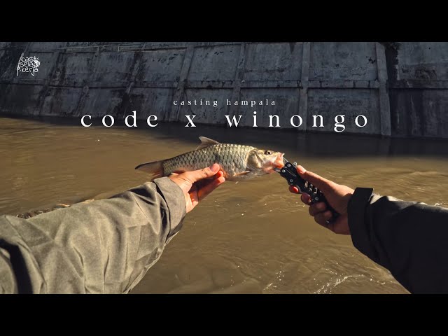 Casting Hampala sungai Kota Jogja - Code x Winongo 🌇 #fishing #castinghampala