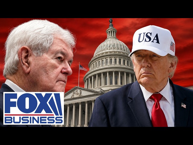 ‘SCREW UP THE COUNTRY’: Newt Gringinch WARNS of IMPEACHMENT HEARINGS