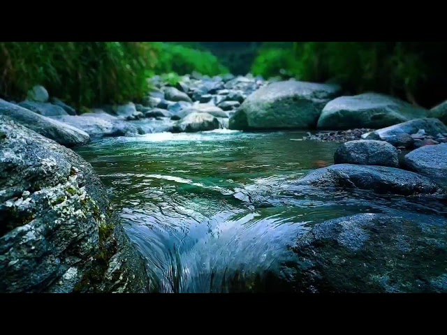 🍀 Gentle River Stream ASMR for Deep Sleep, Study Focus & Relaxing Mind