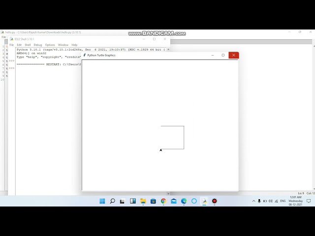 Python Turtle Programming