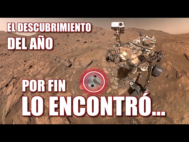 Perseverance Detects Organic Carbon on Mars