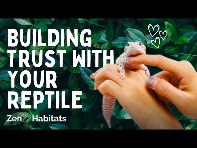 Why Your Reptile Doesn't Trust You (And What to Do About It)