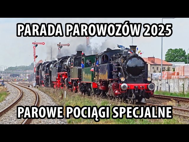 PARADA PAROWOZÓW 2025. Widowisko i pociągi z parowozami dookoła Wolsztyna!