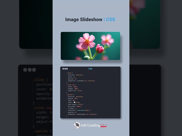 Amazing 🤩 Images Slideshow Using html CSS #shorts #explore #shortfeed #programming