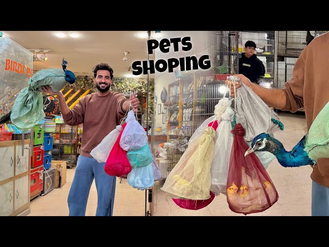 Aj Bhut Sary Pets Buy Kiay 😍
