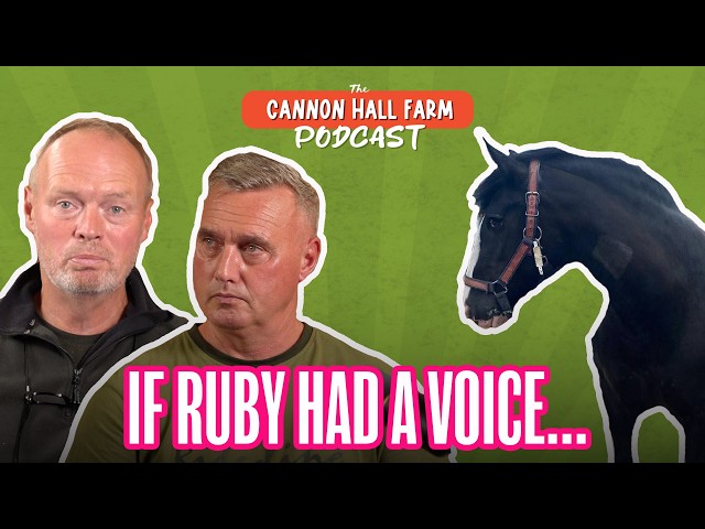 If Ruby had a voice... | Reflecting on Ruby's sad passing.