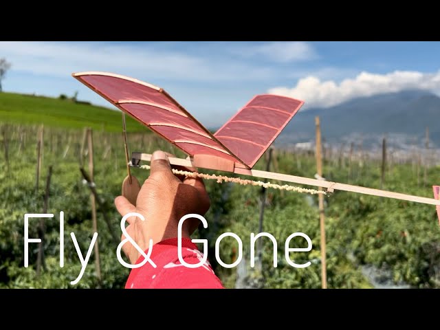 Rubber Powered Plane