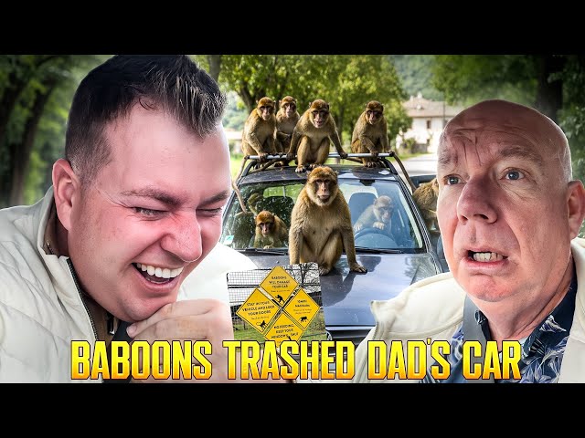 BABOONS TRASHED DAD’S CAR! 😱 Knowsley Safari Park Prank Gone Wild! Hilarious Dad Prank 😂 