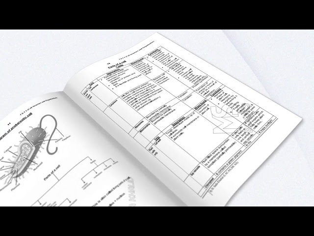 O Level Biology notes By Dr Sadia Khalid l MS Books