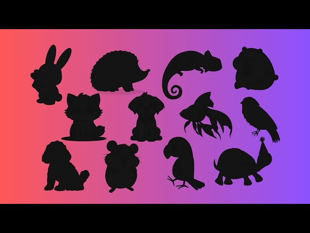 Guess the Pet Shadow Quiz | Fun Animal Game for Kids | Can You Name These Cute Pets?