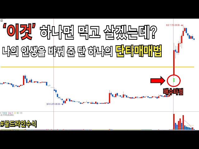 저는 이 단타법으로 먹고 삽니다 / #단타매매법