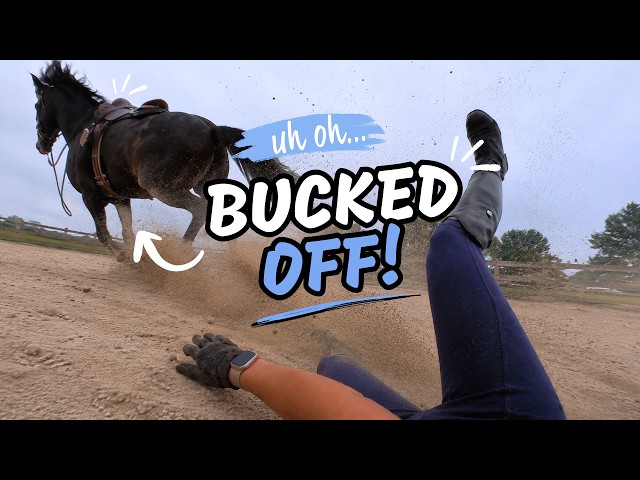 I Get BUCKED Off | First Lesson On Beau!