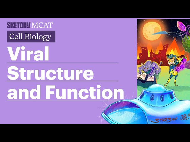 Viral Structure & Function: Capsids, Viral Envelopes, Genetic Material (Full Lesson)  | Sketchy MCAT