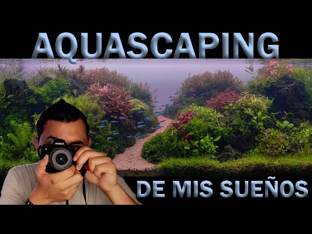 Planted aquarium with which I competed at the IAPLC 2021 | Aquasaping Mexico | Nature Aquarium