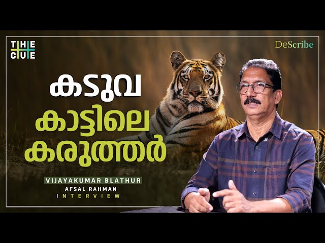 കടുവകൾക്ക് മനുഷ്യരെ പേടിയാണ് | Vijayakumar Blathur Interview | Bengal Tiger | The Cue