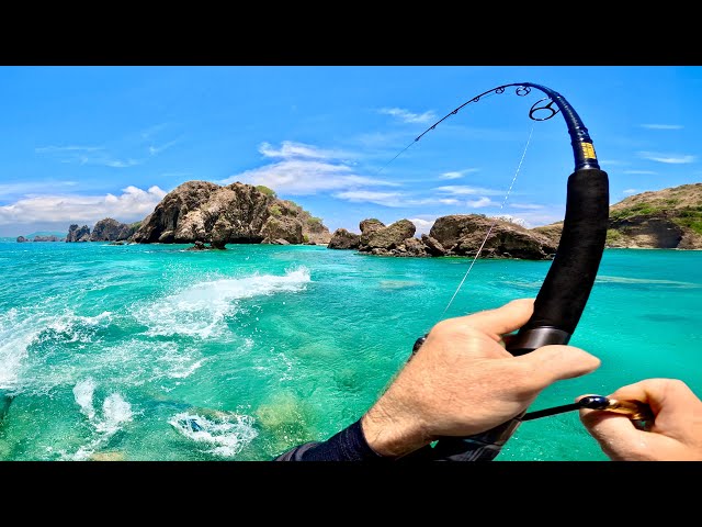 I’ve NEVER Seen So Many FISH – And They Got BIGGER