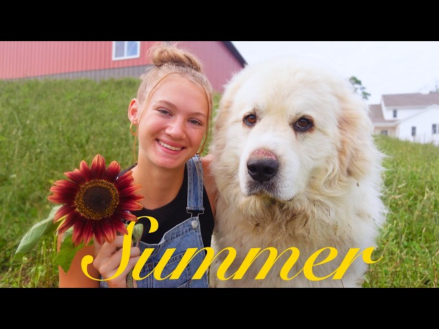 Farm Girl Summer | Life with the Animals ✨