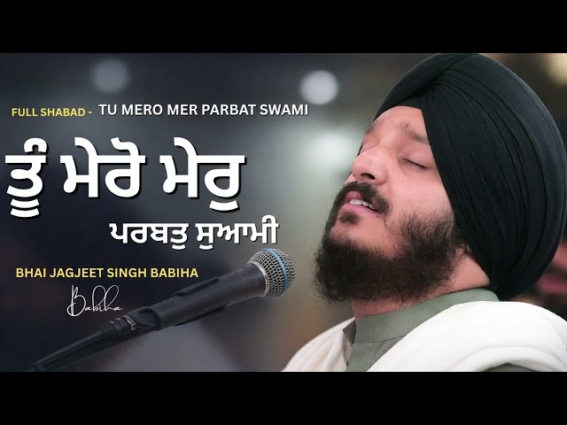 Heart Touching Shabad । Tu Mero Mer Parbat Swami |Bhai Jagjeet Singh Babiha | Full Shabad
