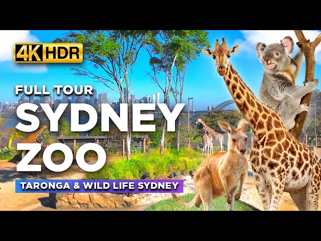 Full Tour of SYDNEY ZOO Australia | Featuring The Must-See Taronga Zoo and WILD LIFE Sydney