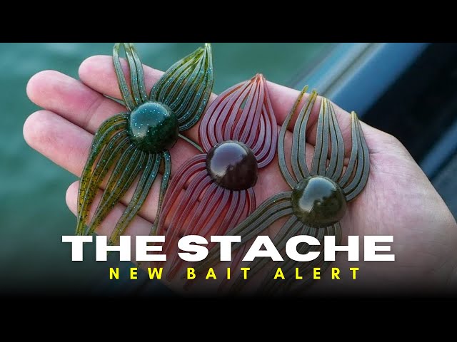 New Product Alert! The Stache!