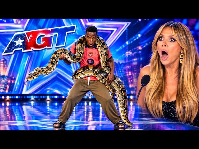 HE PICKED UP A GIANT PYTHON?! 😱🐍 The Audience Couldn’t Believe It!