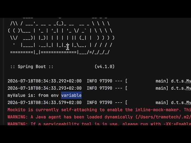 Spring Boot  injecting configuration values