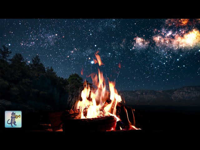 Cozy Campfire at Night 🔥 Burning Fire & Crackling Fire Sounds (NO MUSIC) • 12 HOURS