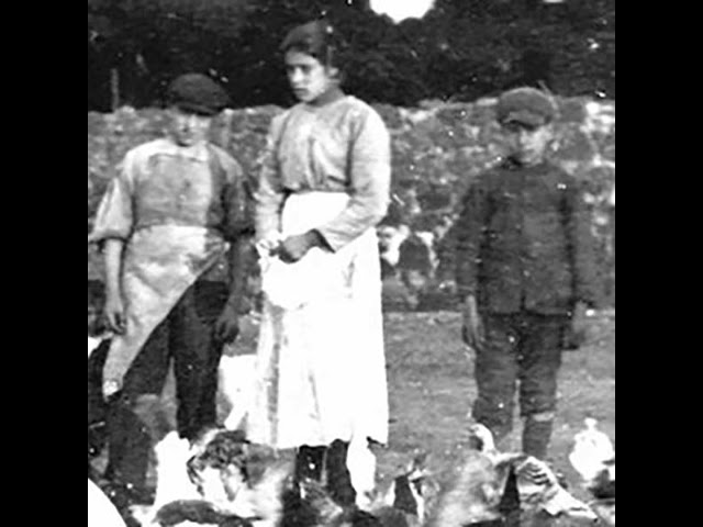 The week ahead – from 5 to 11 July