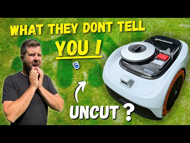 Crazing Mowing! Is the Segway Navimow Worth the Hype?