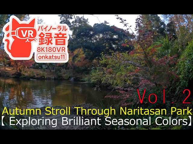 🍁 [Autumn Stroll Through Naritasan Park — Exploring Brilliant Seasonal Colors] Chapter Two‼