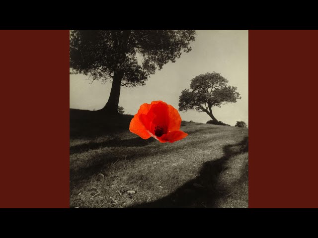 n.o.e (feat. Reza Tavakoli, András Dés & Kristian Lind)