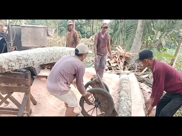 Precision Wood Processing | Sawmill Machine Produces High-Quality Lumber