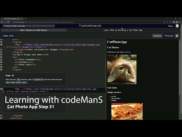Learn HTML by Building a Cat Photo App - Step 31